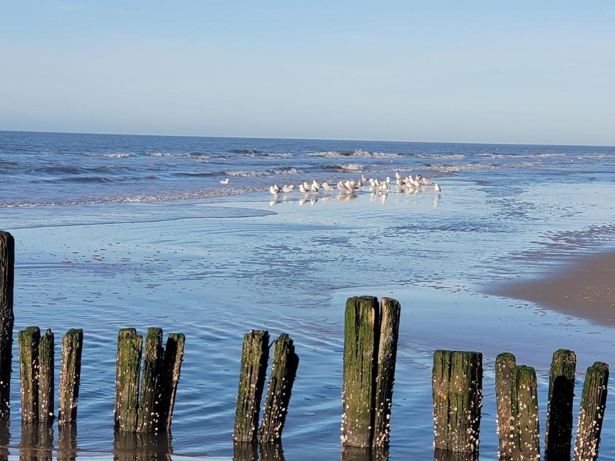 Pension Canberra Bergen aan Zee Εξωτερικό φωτογραφία