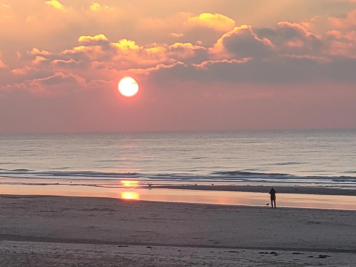 Pension Canberra Bergen aan Zee Εξωτερικό φωτογραφία